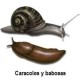 VENENO BABOSAS CARACOLES AGROL-A BOLSA 100GRS
