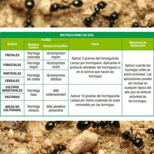 HORMIGUICIDA GRANULADO LAMPO 1KG VENENO MATA HORMIGAS