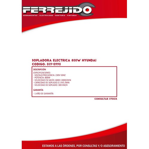Sopladora Eléctrica 800w Hyundai 019-0990- Ferrejido