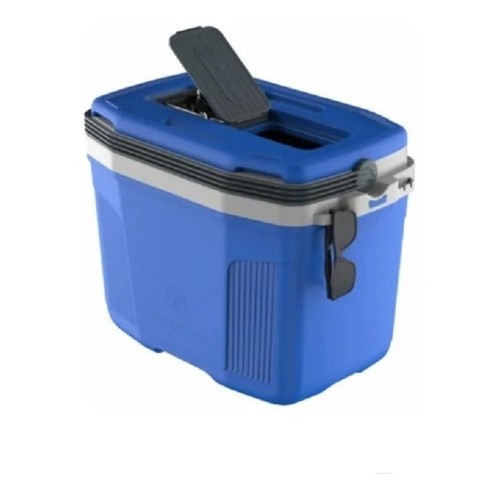 Conservadora Térmica Heladera Termolar 3lt