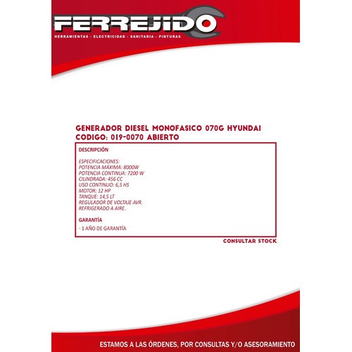 Generador Diesel Monofásico 8000w Hyundai 070g- Ferrejido