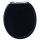 ASIENTO TAPA DE INODORO WATER MADERA NEGRO SICMOL FERREJIDO